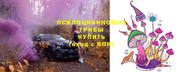a pvp Коряжма