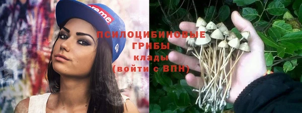 меф Корсаков