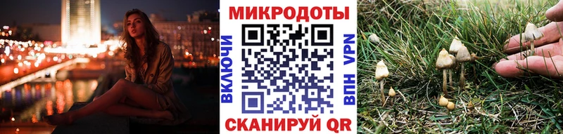 Галлюциногенные грибы MAGIC MUSHROOMS  Мариинский Посад 